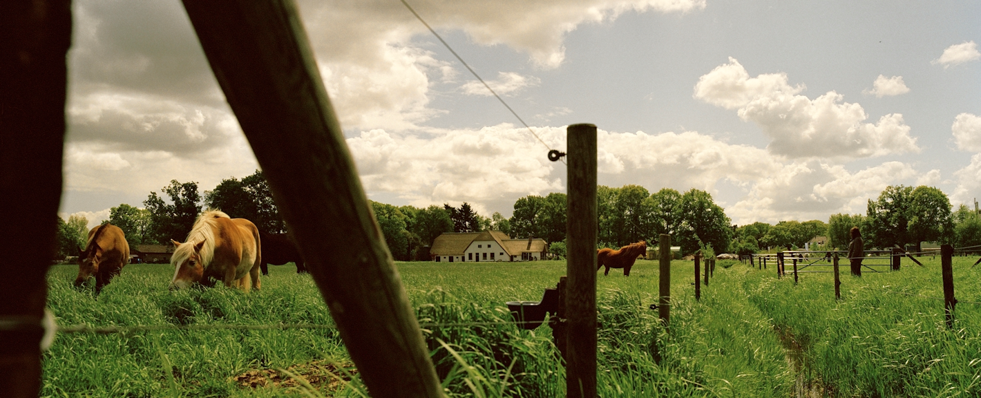 Theehuis Het Oude Paard